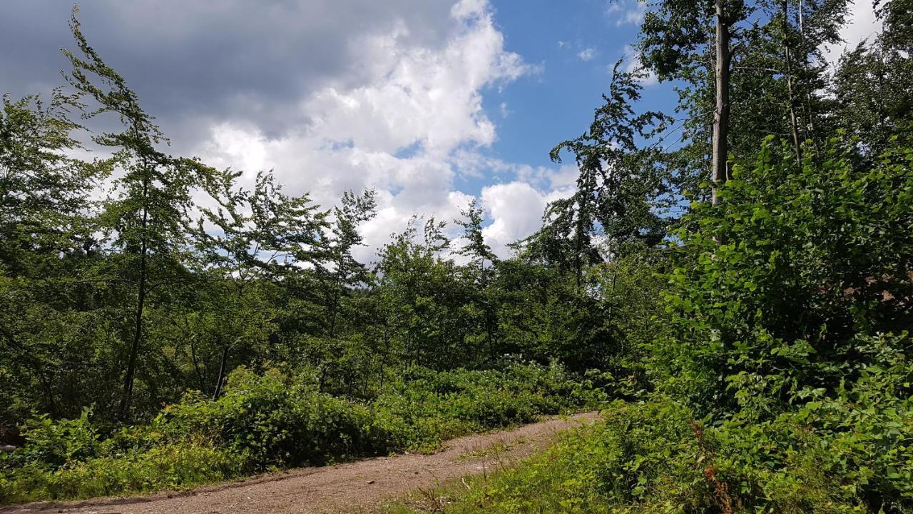 Schoener Weitblick Bad Sachsa Extérieur photo